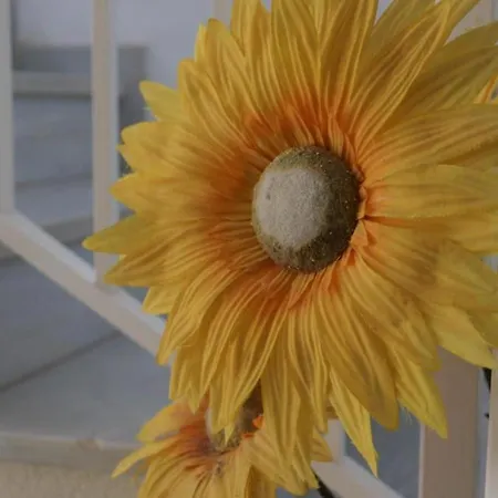 Completo Cristal Playa *