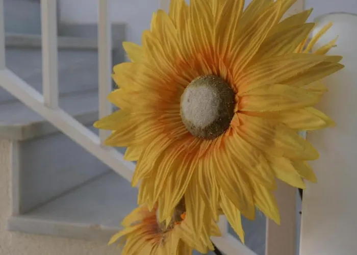 Completo Cristal Playa *